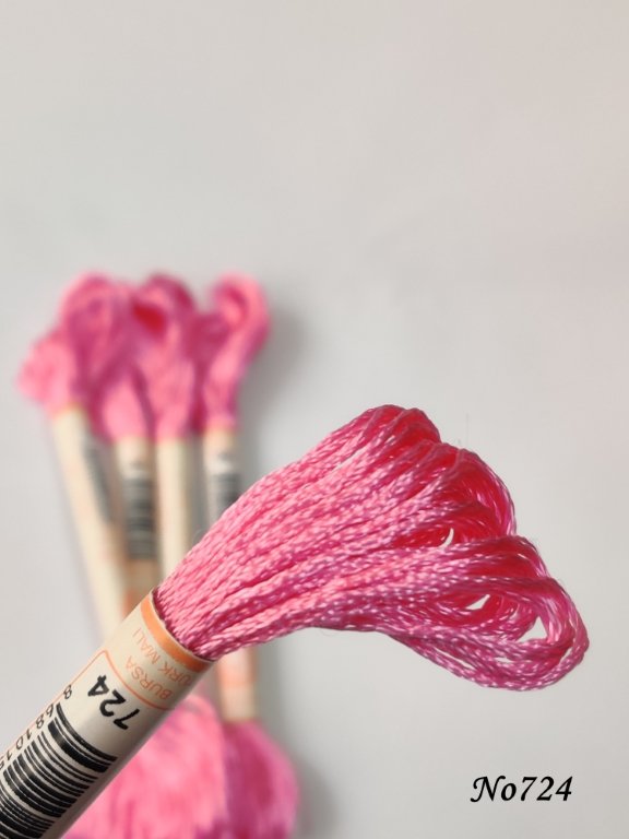 724 (DMC603) (1) (Medium)